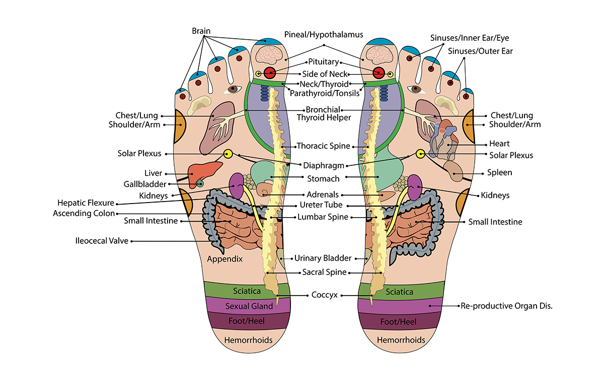 Рефлексотерапия ноги схема